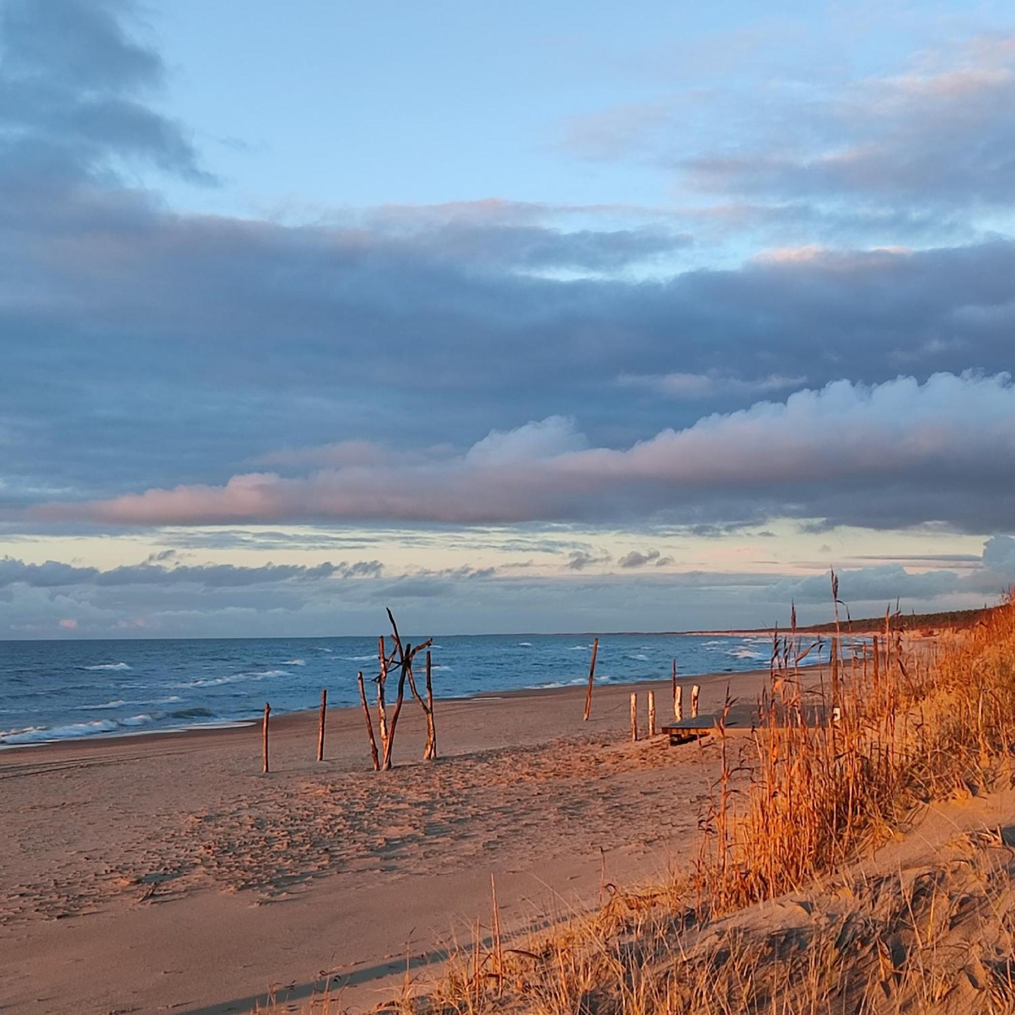 Geltoni Apartamentai Palanga Exteriér fotografie