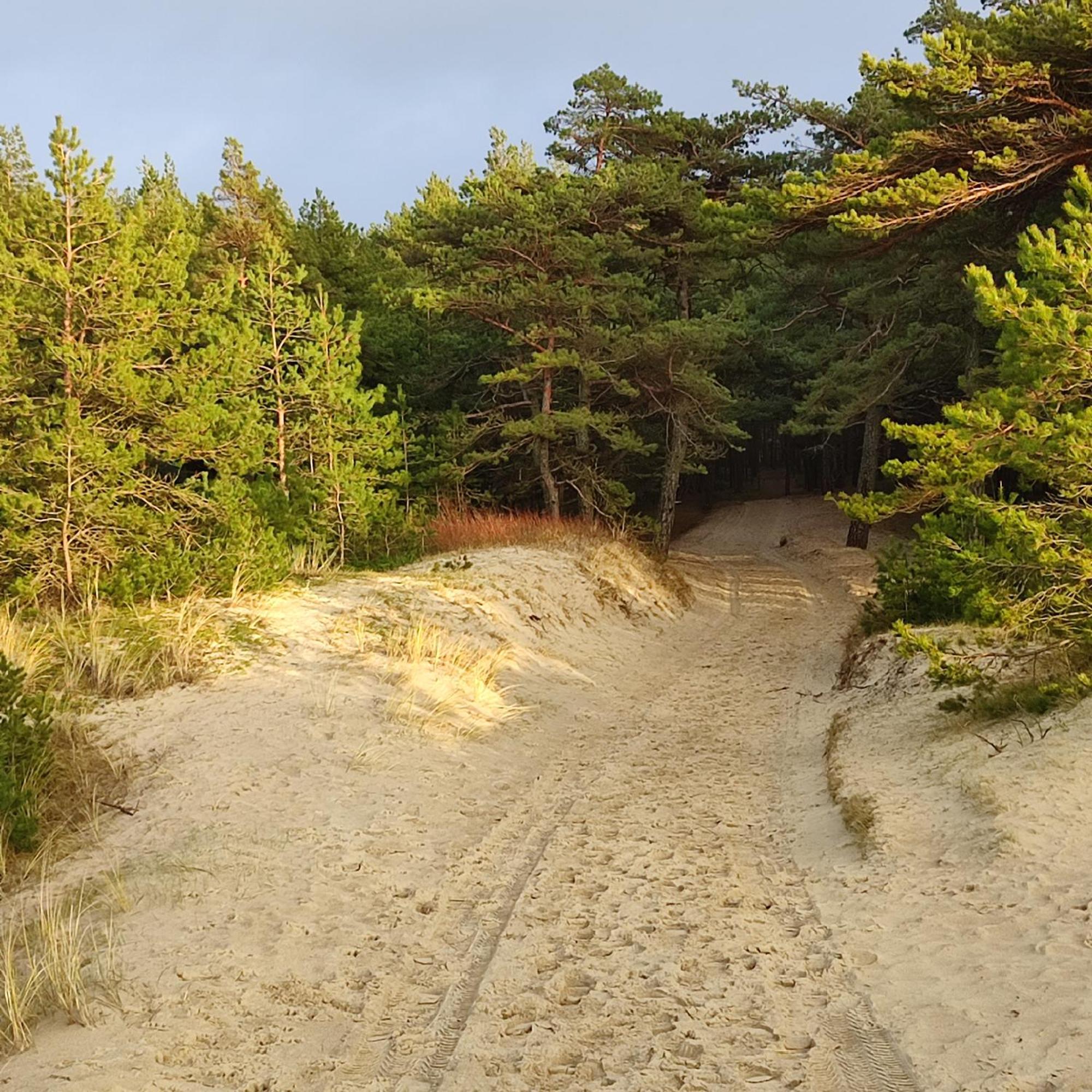 Geltoni Apartamentai Palanga Exteriér fotografie