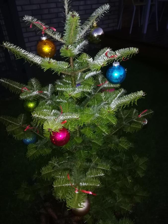 Geltoni Apartamentai Palanga Exteriér fotografie